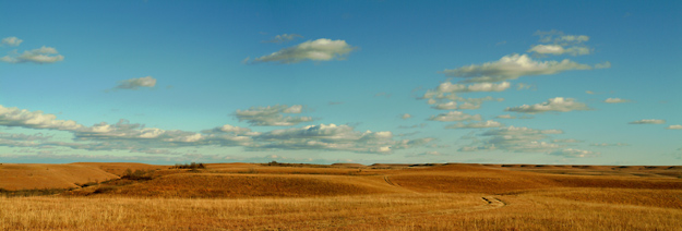 Fresh Air, Konza Prairie